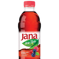 JANA ICED TEA FOREST FRUIT CRANBERRY 500ml