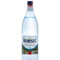 WATER BORSEC 1.5LT