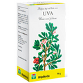 BILJE BORCA BEARBERRY TEA (UVA) 50g