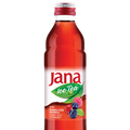 Ice Tea Forest Fruit Cranberry
